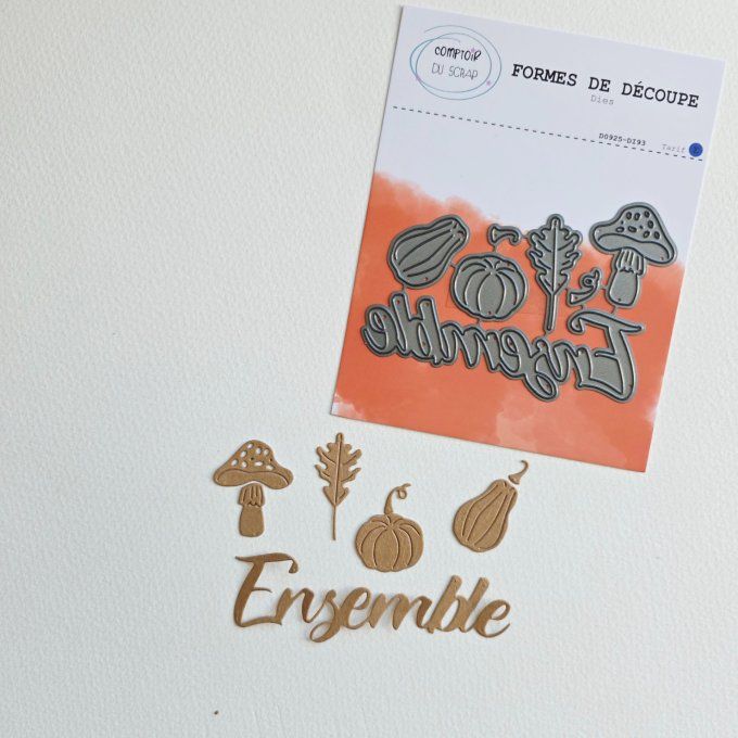 D0925-DI93 Dies Ensemble en forêt