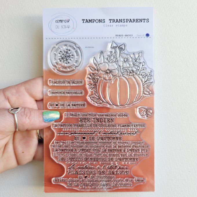 T0925-SA303 Tampons Plaisirs de saison